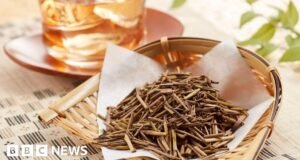 पुढील सामना काय आहे? मेनूमध्ये जपानी चहा आहे
