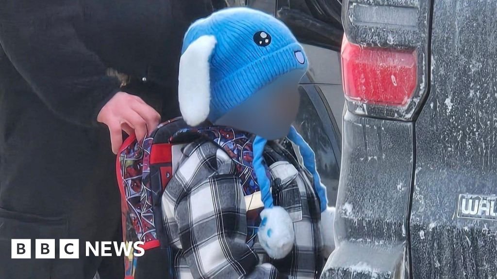 मिनियापोलिसमध्ये ICE ने ताब्यात घेतलेल्या पाच वर्षांच्या मुलाची सुटका करण्याचे आदेश न्यायाधीशांनी दिले