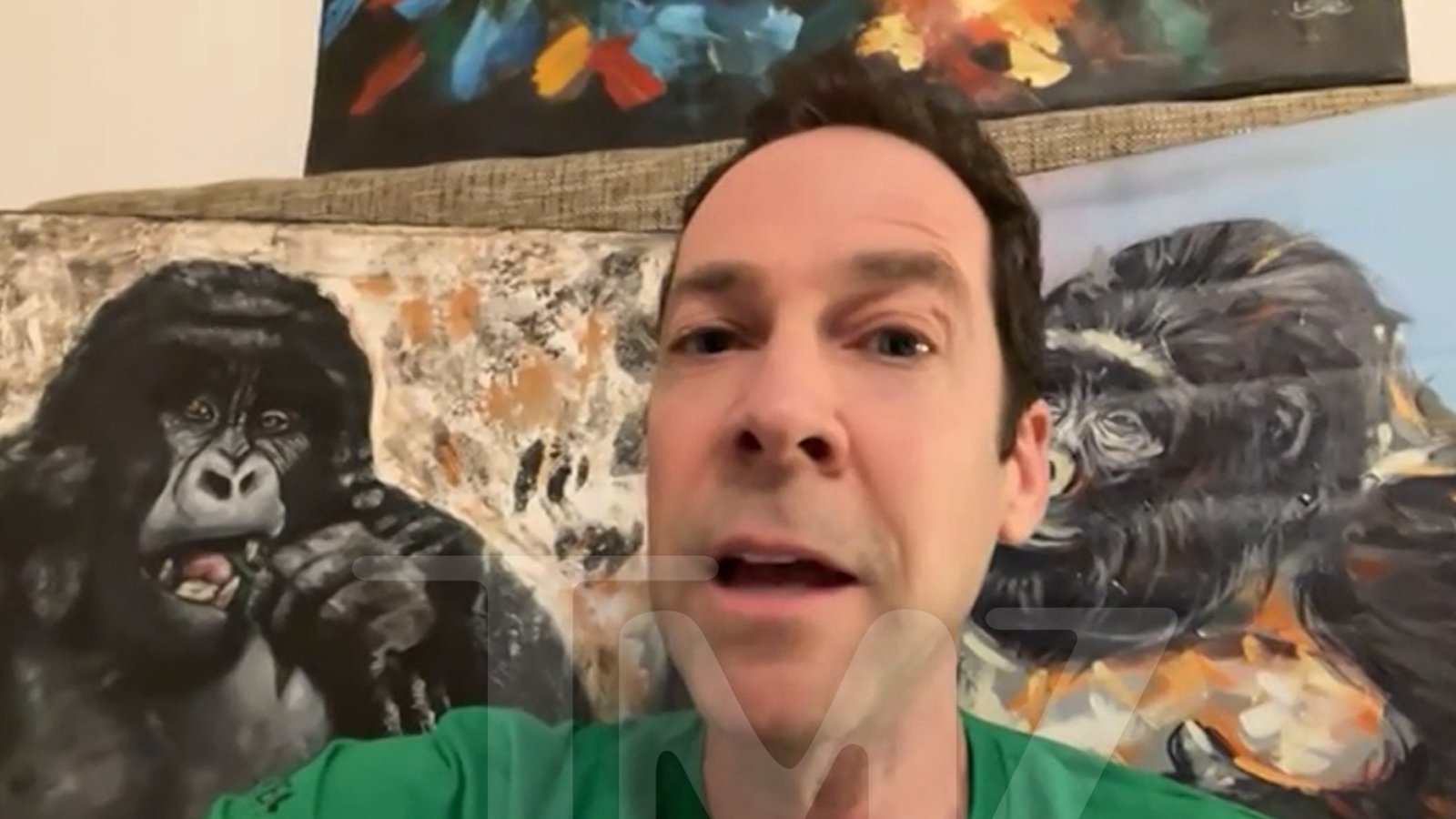 पंच नावाच्या व्हायरल माकडाला त्याच्यावर प्रेम करण्यासाठी खऱ्या आईची गरज असते, असे तज्ज्ञांचे म्हणणे आहे