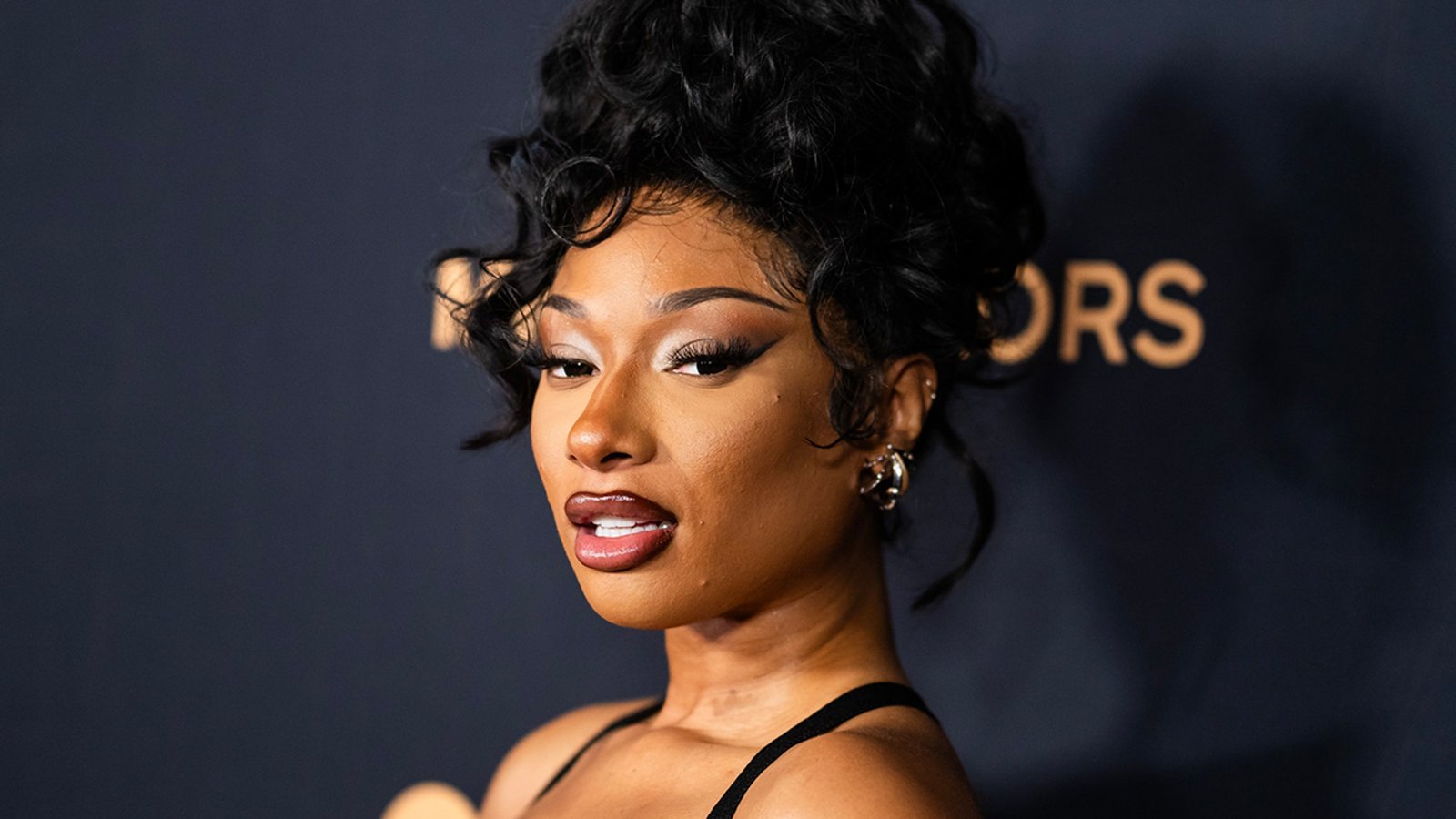 मेगन द स्टॅलियन रॉबर्टो कॅव्हॅली ड्रेसमध्ये योग्य वक्र दिसत आहे