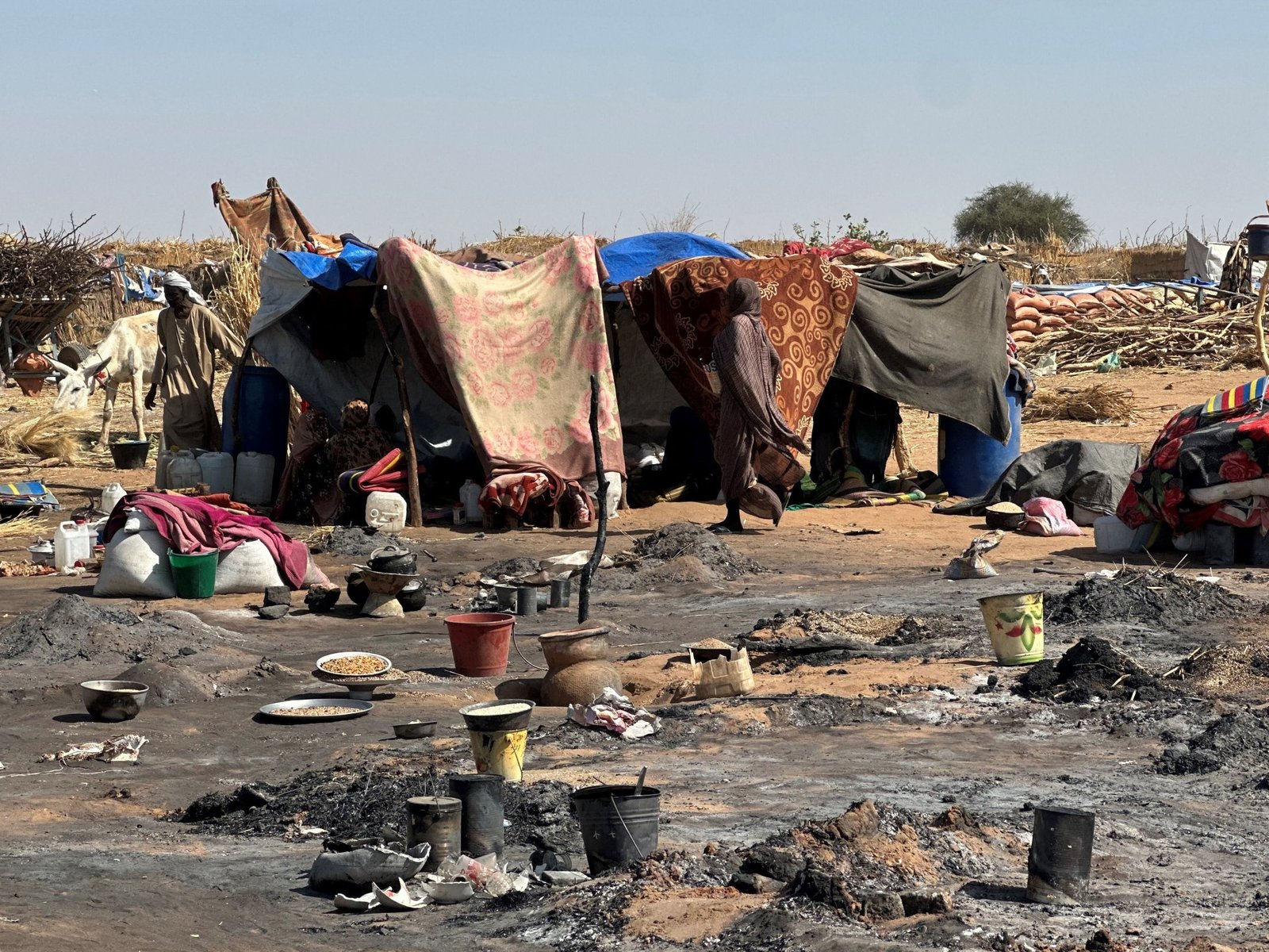 यूएन मिशनला अल-फशारमध्ये आरएसएफचा नाश आढळला ‘नरसंहाराची वैशिष्ट्ये’ सुदान युद्ध बातम्या