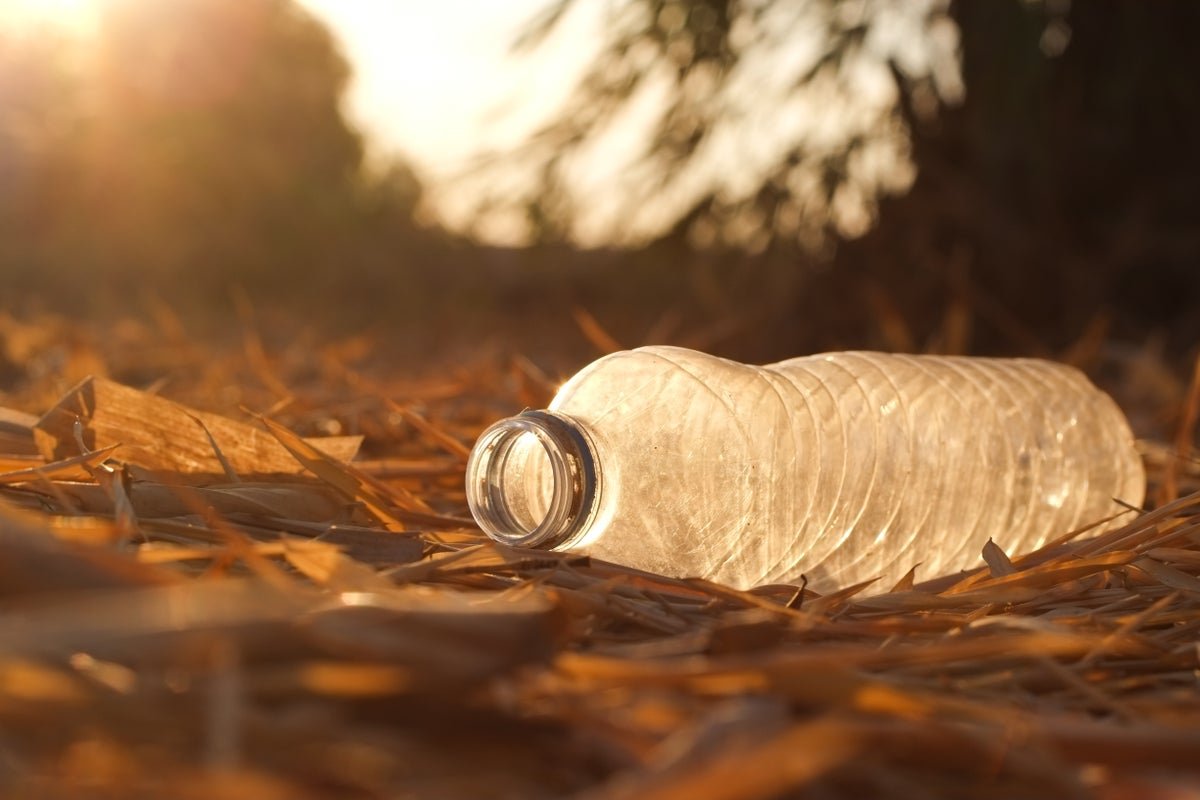 प्लास्टिक उत्सर्जनाशी संबंधित प्रमुख आरोग्य धोके 2040 पर्यंत वाढण्याची अपेक्षा आहे