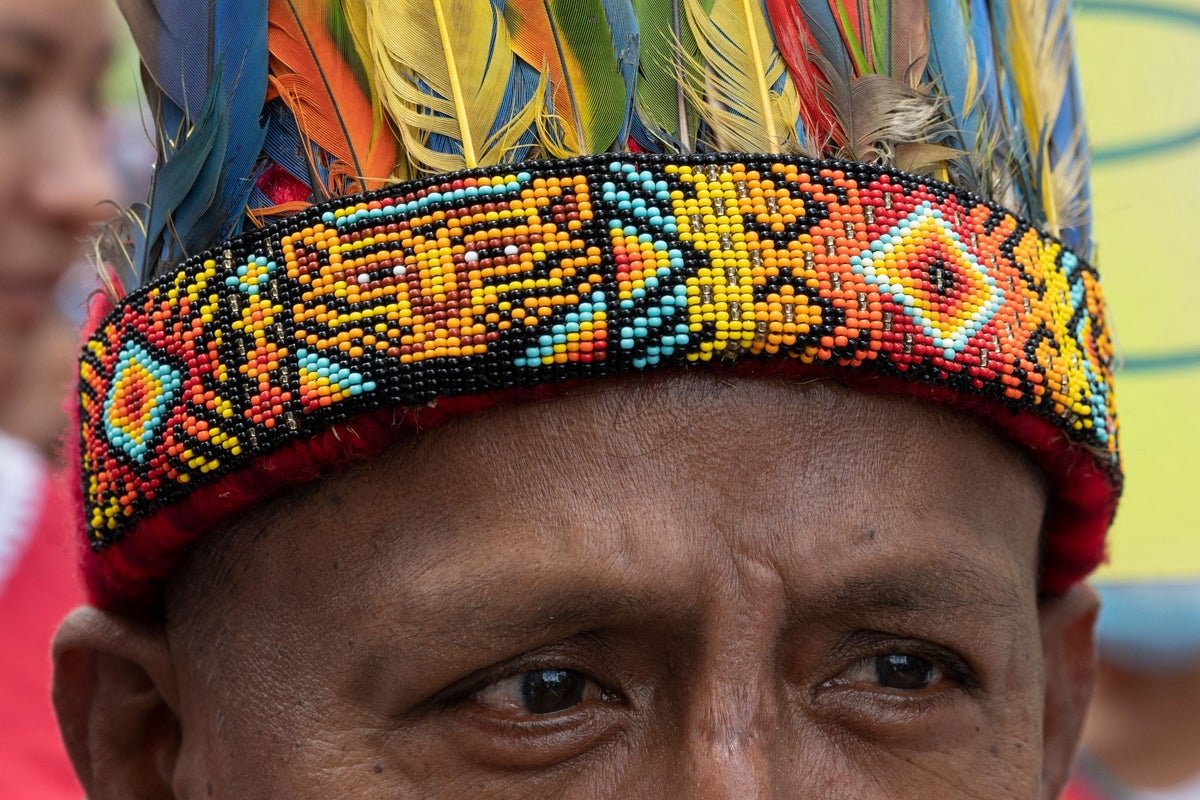 अर्जेंटिनामध्ये सापडलेल्या मानवांच्या पूर्वी अज्ञात उपप्रजातींनी पुरातत्वशास्त्रीय रहस्य उघड केले