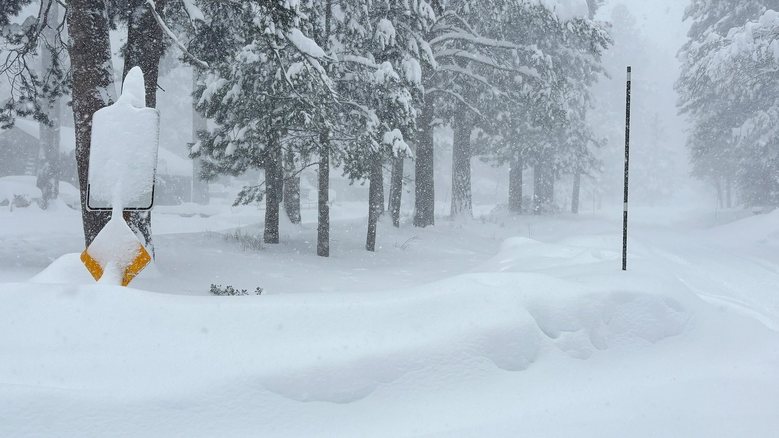 उत्तर कॅलिफोर्निया हिमस्खलनानंतर अनेक बॅककंट्री स्कीअर बेपत्ता: अधिकारी