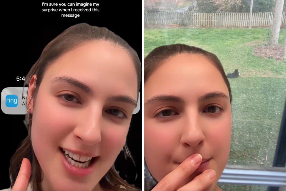 महिलेला काळ्या अस्वलाबद्दल डोअर कॅम अलर्ट मिळतो—तिला जे सापडते ते तिला थक्क करते