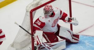 प्रिडेटर्सविरुद्ध रेड विंग्सचा गोलकेंद्री जॉन गिब्सन जखमी झाला होता