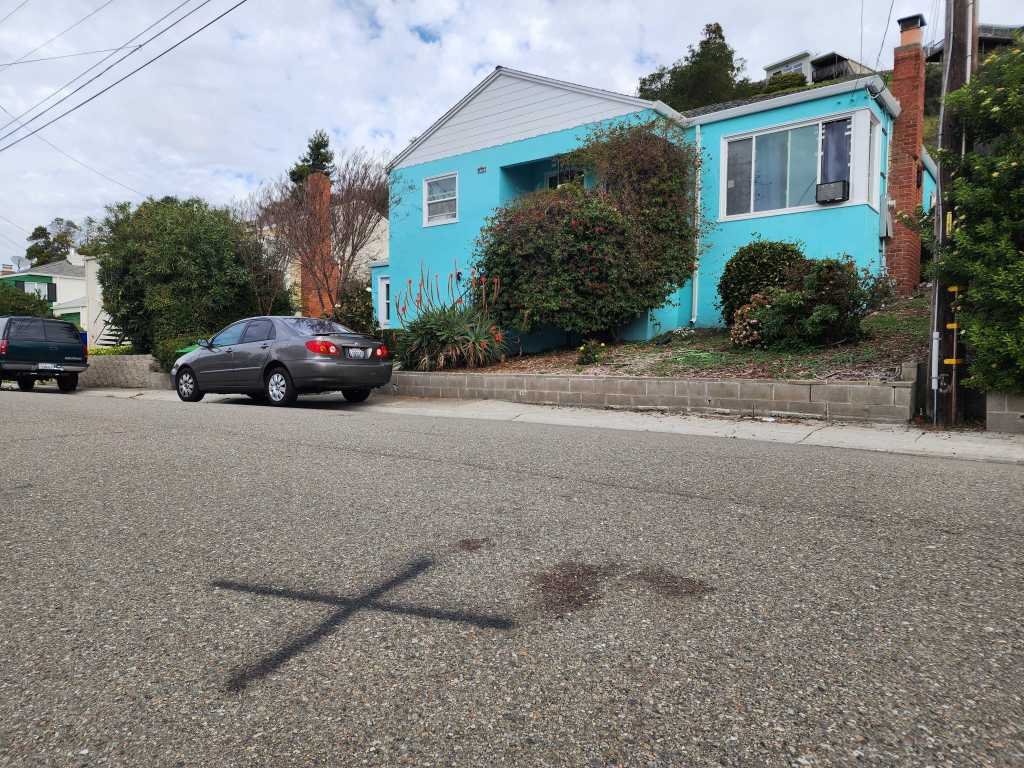 अल्मेडा काउंटी शेरीफच्या डेप्युटीजने गोळ्या झाडलेल्या माणसाच्या आईच्या हत्येचा निषेध