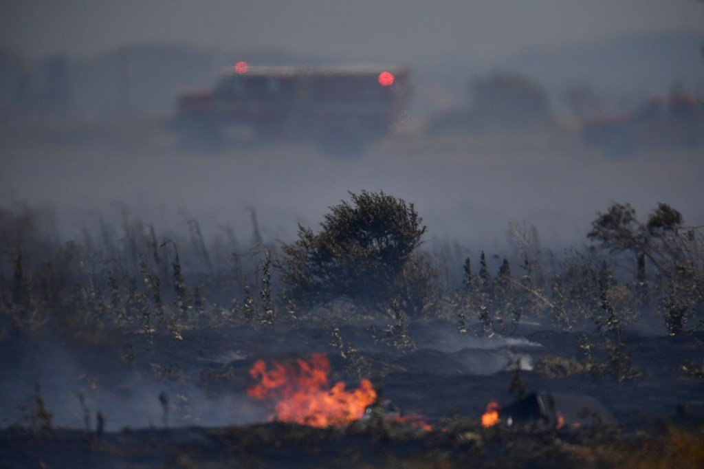 हरमन तलावाजवळ खून, मृतदेह टाकल्याप्रकरणी पोलिसांनी संशयिताला अटक केली