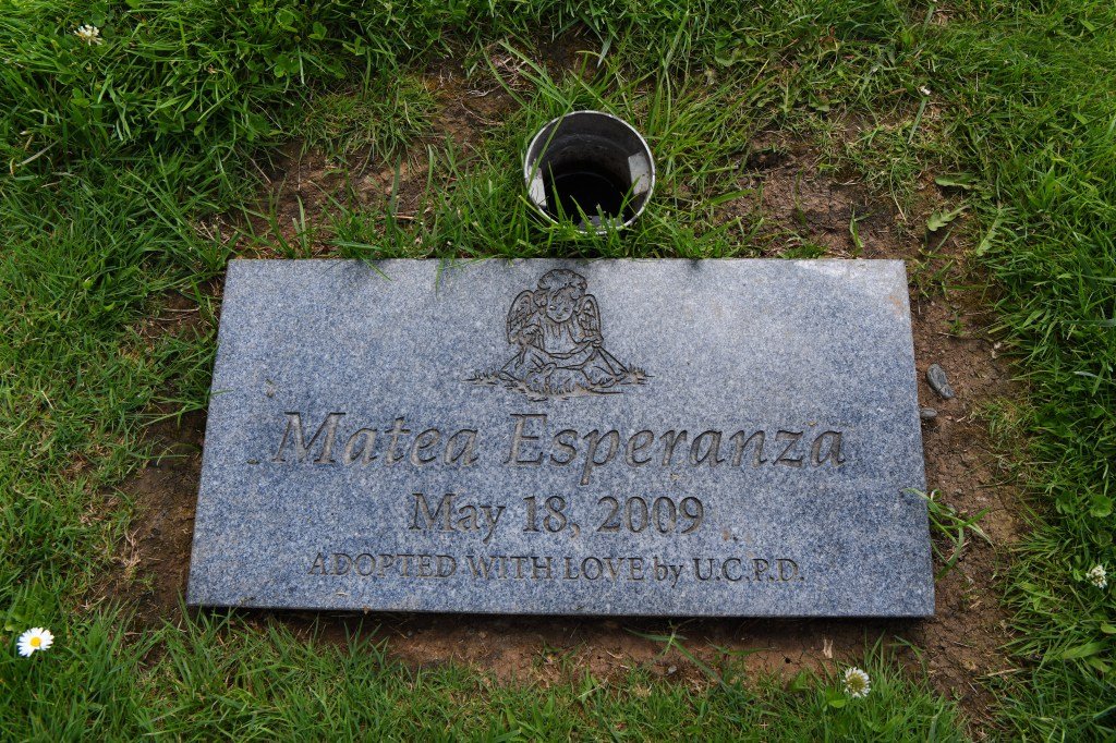 ईस्ट बेच्या न्यायाधीशांनी नवजात बाळाला बुडवल्याचा आरोप असलेल्या महिलेचा वैद्यकीय परवाना रद्द केला