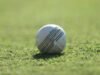 सौदी अरेबियाने ऑक्टोबरमध्ये T20 लीगचे अनावरण केले