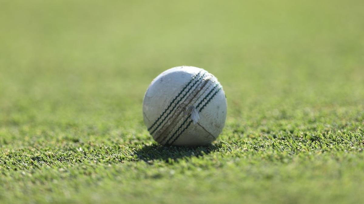 सौदी अरेबियाने ऑक्टोबरमध्ये T20 लीगचे अनावरण केले