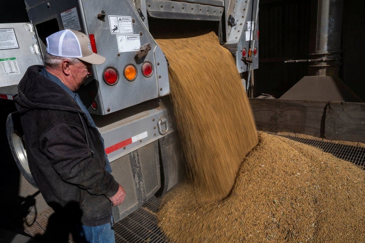 ट्रम्पच्या सोयाबीन डीलची चीनला मागील यूएस निर्यातीशी तुलना कशी होते