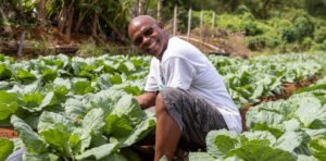 समालोचन: कुबुली फार्म्स – डोमिनिकामध्ये नाविन्य, समावेश आणि संधीची लागवड करणे