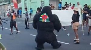 DNO वर लाइव्ह: रोझो मधील सोमवार जौवर्ट कार्निवल