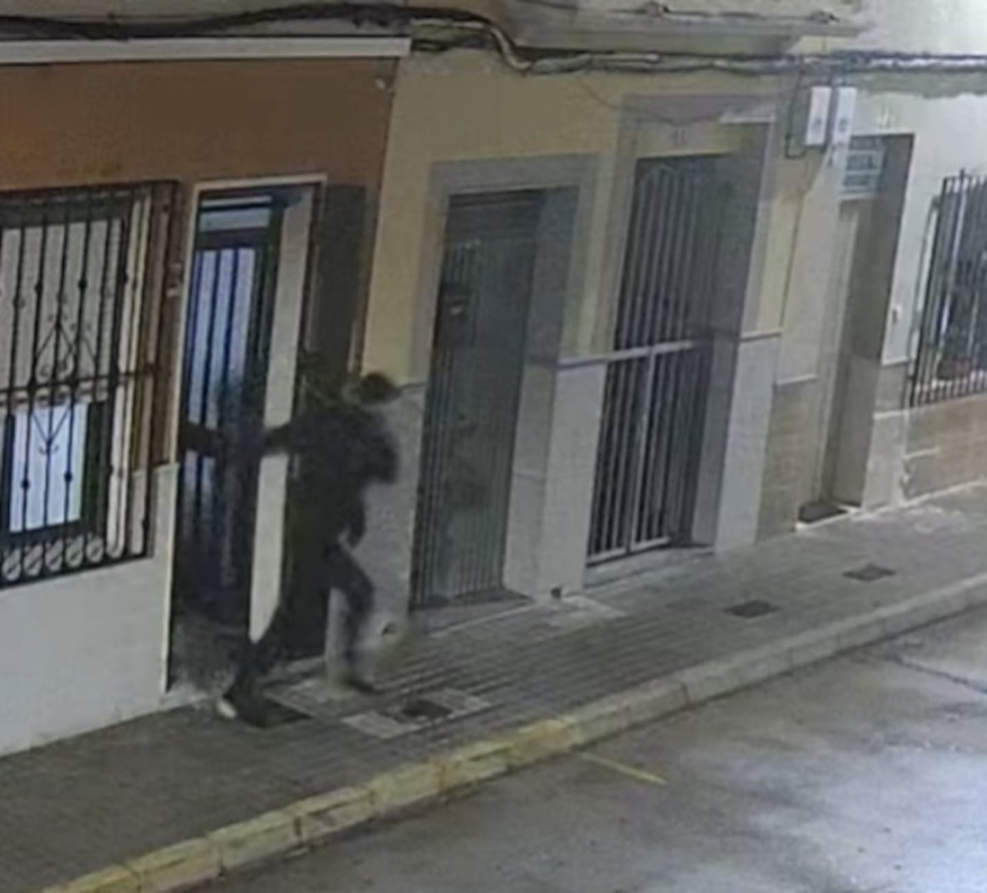 कुत्रा त्याच्या मालकाचे अपहरण टाळतो आणि स्पेनमधील गुन्हेगारी टोळीला पकडण्याची परवानगी देतो