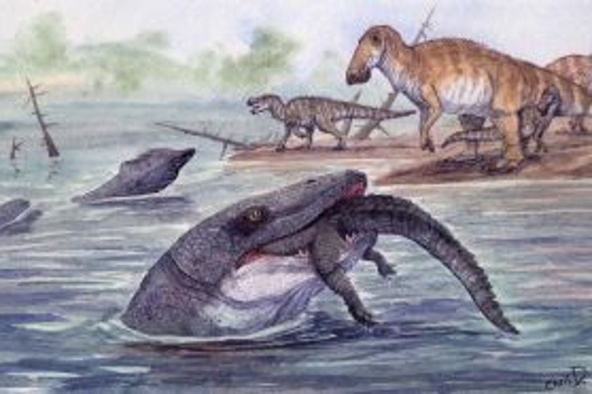 Reconstruction-of-Hell-Creek-Mosasaur.jpeg
