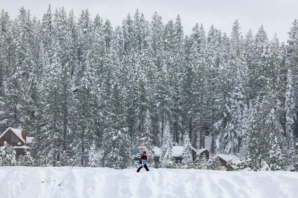 टाहो येथे हिमस्खलनात स्की ग्रुपमधील लार्क्सपूरची आई, वाइनमेकर ठार