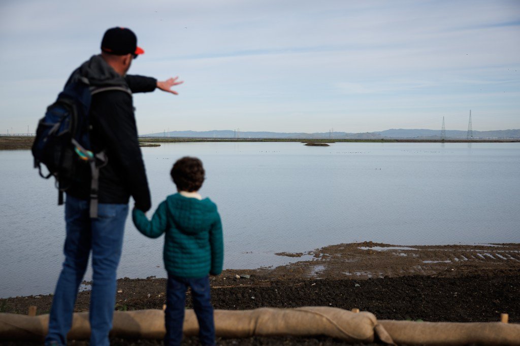 माउंटन व्ह्यूमध्ये $20 दशलक्ष मिठाच्या तलावाच्या जीर्णोद्धार पूर्ण झाल्याची नोंद अधिकारी – द मर्क्युरी न्यूज