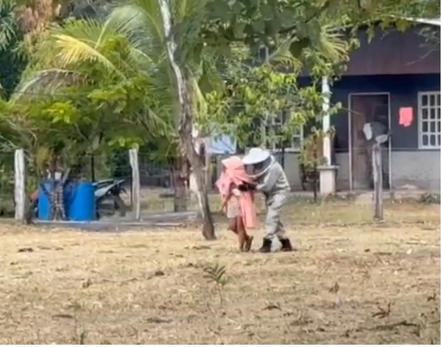 अग्निशमन दलाने ग्वानाकास्टमध्ये महिला आणि कुत्र्याला मधमाश्यांच्या हल्ल्यातून वाचवले