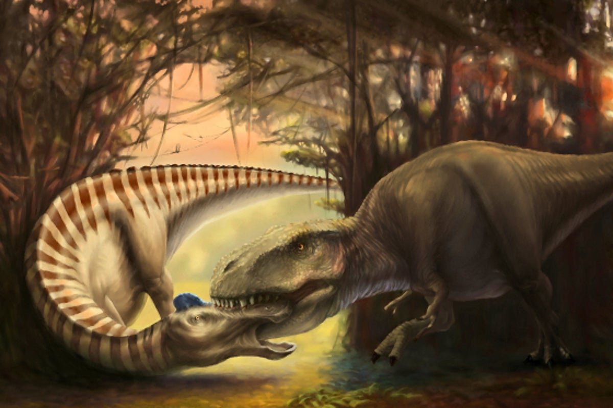 कवटीत सापडलेले जीवाश्म दात शिकार बनलेल्या राक्षस डायनासोरच्या अंतिम क्षणांची पुनर्रचना करण्यास मदत करतात