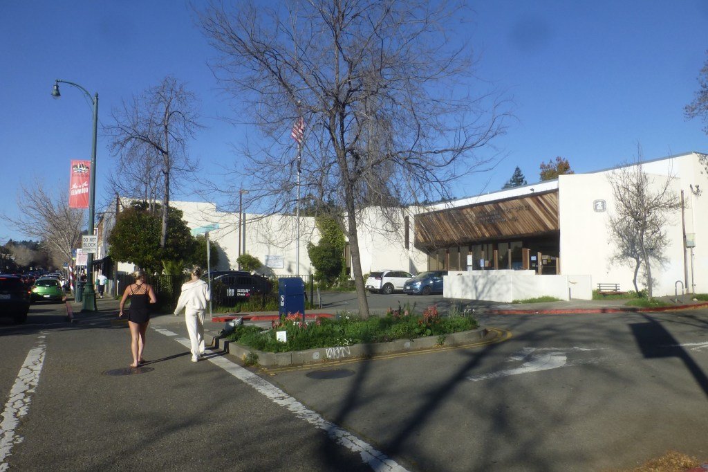 वाहतूक सिग्नलकडे दुर्लक्ष करणाऱ्या 1926 वाहनचालकांना पोलिसांनी फटकारले