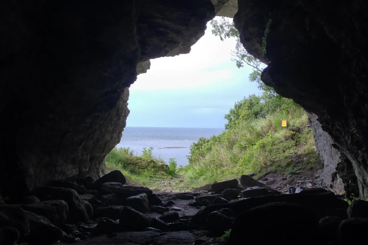 अभ्यासात असे दिसून आले आहे की कुत्रे अस्तित्वात येण्यापूर्वी मानव लांडग्यांची काळजी घेत असे