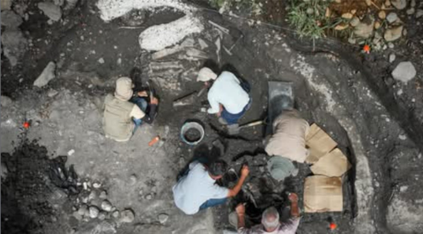 कार्थेजमधील ऐतिहासिक शोध! मास्टोडॉन आणि एक राक्षस स्लॉथचे अवशेष सापडले आहेत