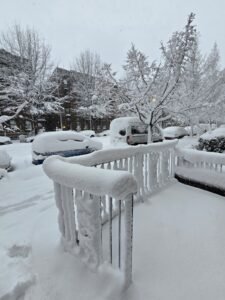 ‘बॉम्ब चक्रीवादळ’ ने NYC जवळजवळ दोन फूट बर्फाखाली सोडले, ईशान्य यूएसमध्ये सुरू आहे