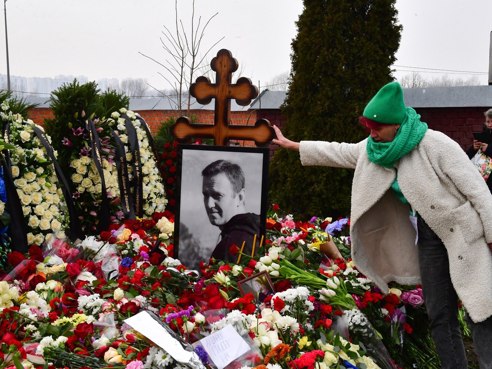 ॲलेक्सी नवलनीच्या मृत्यूशी संबंधित ‘डर्ट फ्रॉग’ विष काय आहे? | गुन्हेगारीच्या बातम्या