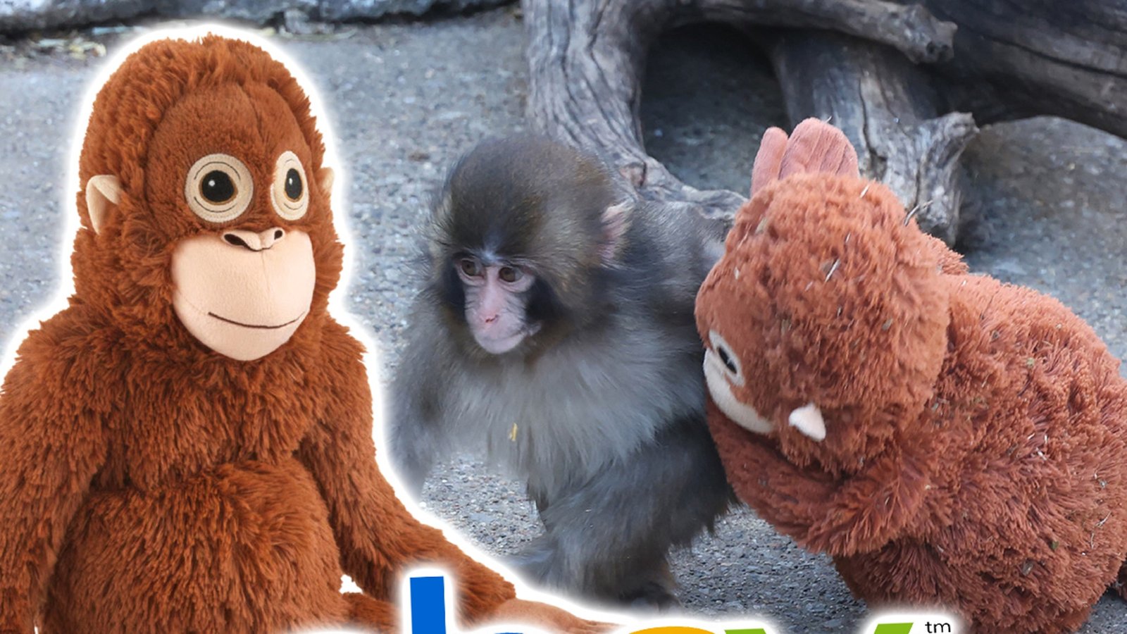 व्हायरल स्टफ केलेले IKEA माकड eBay वर शेकडो किमतीत विकले जाते