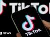 TikTok ने UK मध्ये £3.99 चे जाहिरात-मुक्त सदस्यत्व लाँच केले आहे
