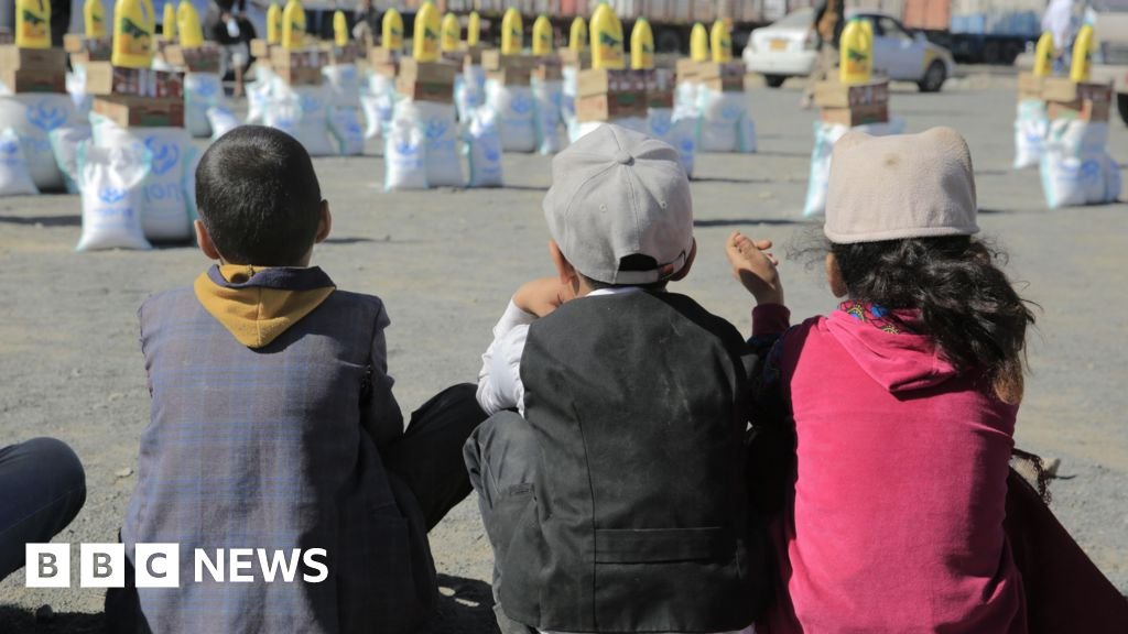 येमेनचे हुथी बंडखोर मदत गटांना काठावर ढकलत आहेत