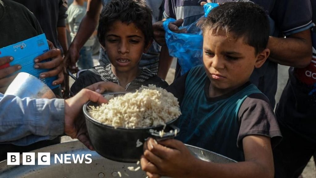 इस्रायली न्यायालयांनी निर्बंधांच्या धमक्या निलंबित केल्यामुळे गाझा आणि वेस्ट बँक मधील मदत गटांनी जीवनरेखा फेकली आहे