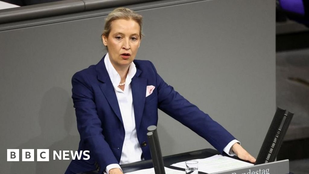 AfD ने ‘अतिरेकी’ लेबलवरील न्यायालयाच्या बंदीचे विजय म्हणून स्वागत केले