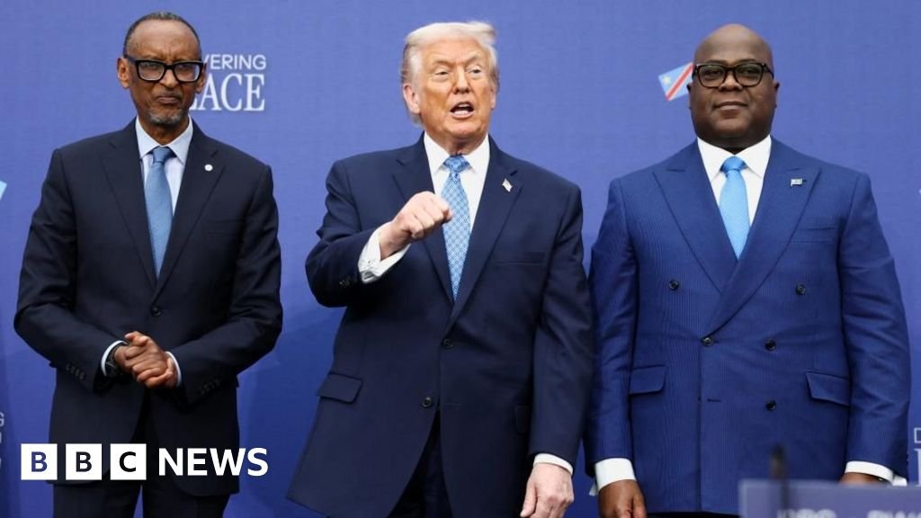 टेबलावर किंवा मेनूवर आसन? आफ्रिका नवीन जागतिक व्यवस्थेशी झुंजत आहे