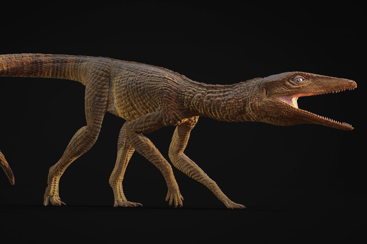 नव्याने सापडलेल्या प्रागैतिहासिक मगरीच्या प्रजातीचे नाव गलाहाडो सुसुस जोनेसी