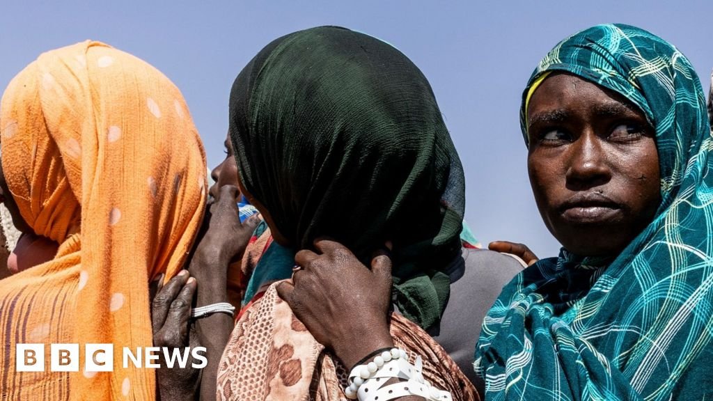 सुदानच्या शहरात तीन दिवसांत ६,००० लोक मारले गेल्याचे संयुक्त राष्ट्रांचे म्हणणे आहे