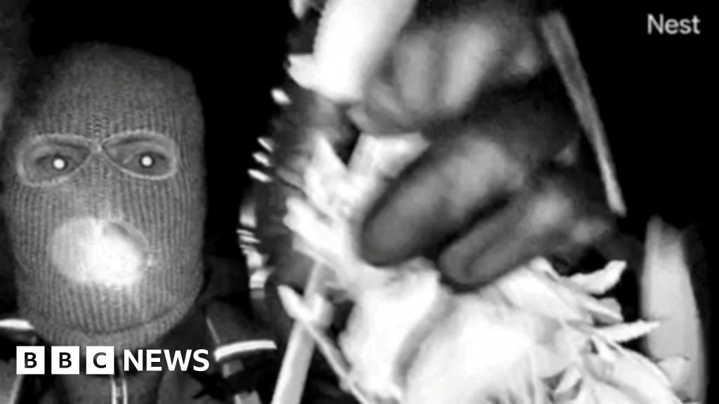 एफबीआयने नॅन्सी गुथरी अपहरणातील संशयिताचे वर्णन प्रसिद्ध केले आहे