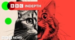 ‘रॅम्प’ एआय सोशल मीडियाचा कायापालट करत आहे