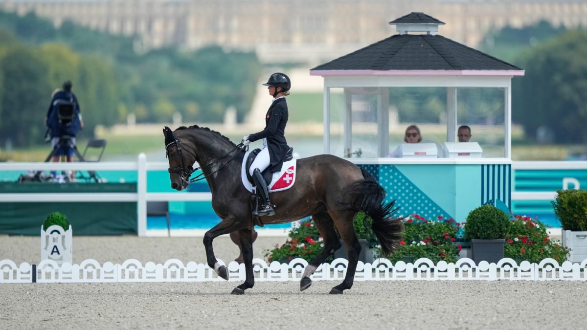 भारतीय घोडेस्वार महासंघाच्या देखरेखीसाठी क्रीडा मंत्रालयाने तदर्थ समिती स्थापन केली इतर क्रीडा बातम्या