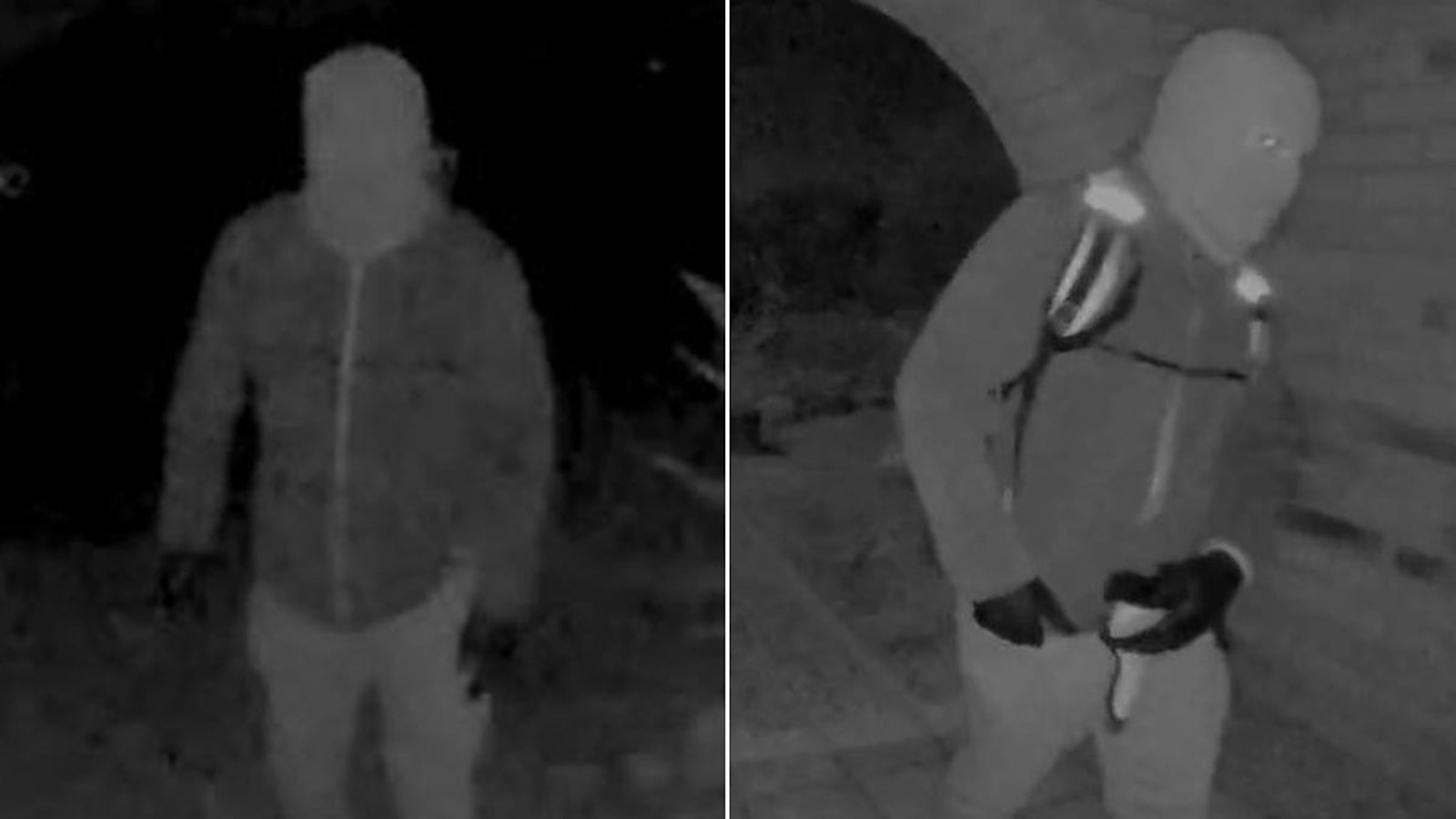 नॅन्सी गुथरी अपहरणातील मुखवटा घातलेला संशयित अपहरण करण्यापूर्वी तिच्या घरी जाताना दिसला: सूत्रांनी