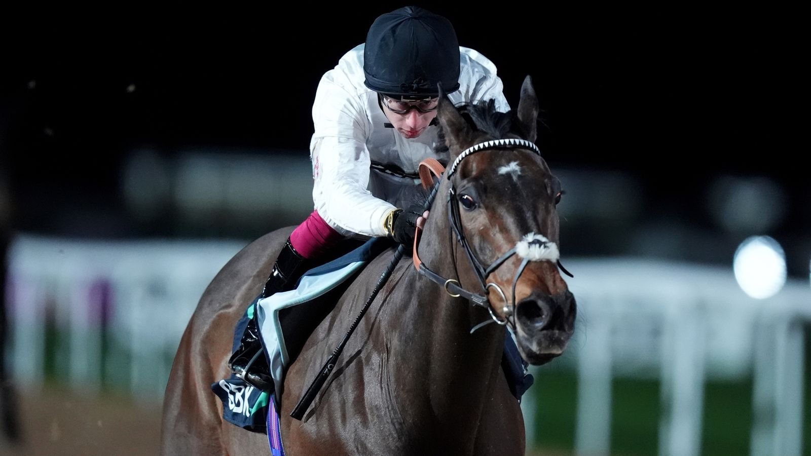 कॉन्स्टिट्यूशन हिल: 2023 चॅम्पियन हर्डल नायक निकी हेंडरसन आणि ओसिन मर्फीच्या साउथवेल येथे फ्लॅट डेब्यूवर जिंकण्यासाठी घरी परतला | रेसिंग बातम्या