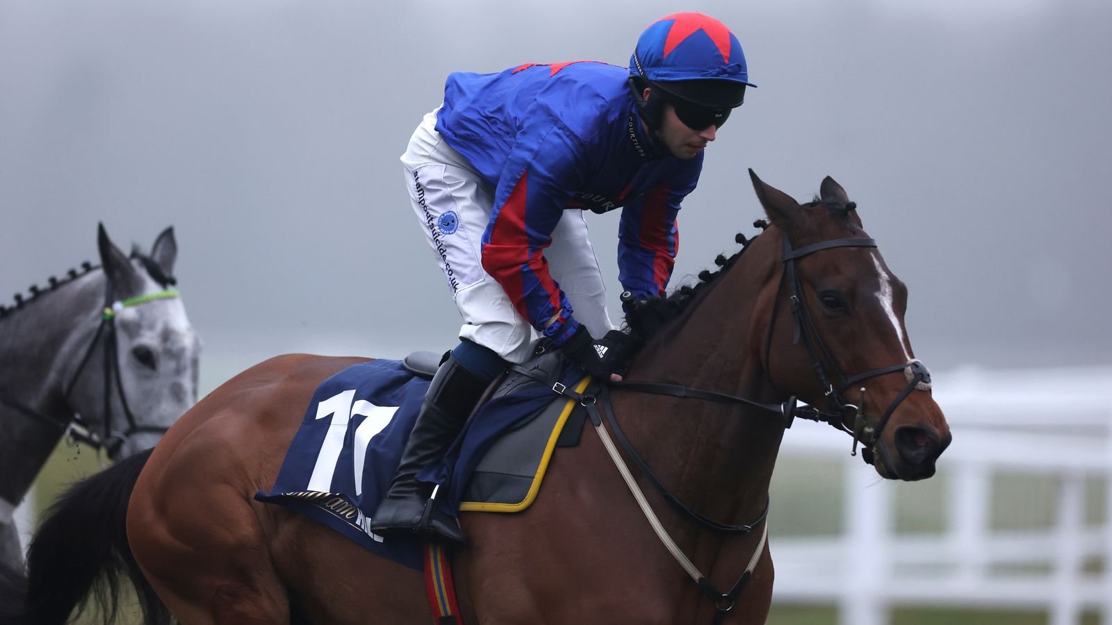 न्यूबेरी टिप्स: जोश द बॉसने ग्रेटवुड गोल्ड कप अस्वस्थ | रेसिंग बातम्या