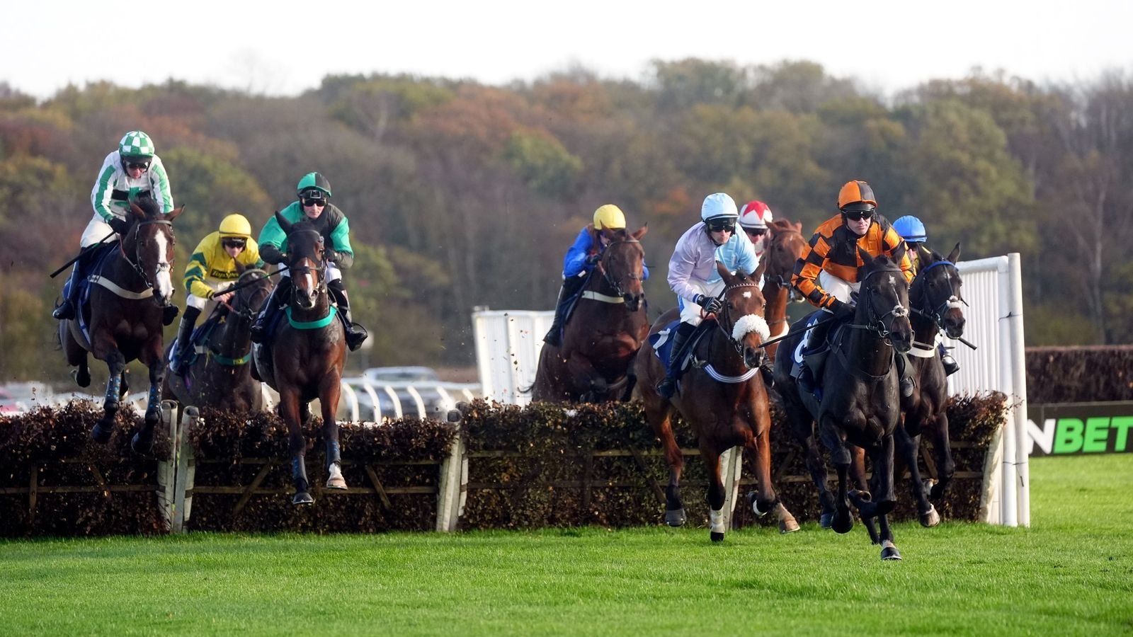 आज स्काय स्पोर्ट्स रेसिंगवर: वॉल्व्हरहॅम्प्टन पासिंग प्लेजर न्यूकॅसल येथे हॅटट्रिक पूर्ण करण्याच्या दिशेने मंगळवारी थेट | रेसिंग बातम्या