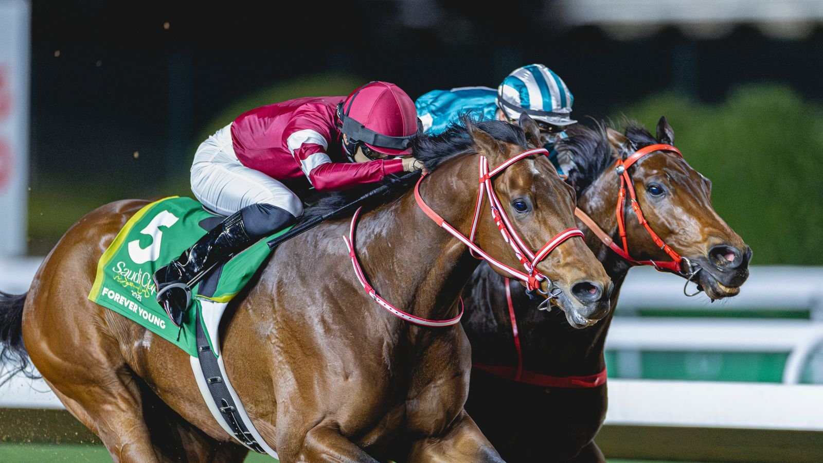 सौदी कप रेसिंग बातम्यांमध्ये फॉरएव्हर यंग पुन्हा छान आहे