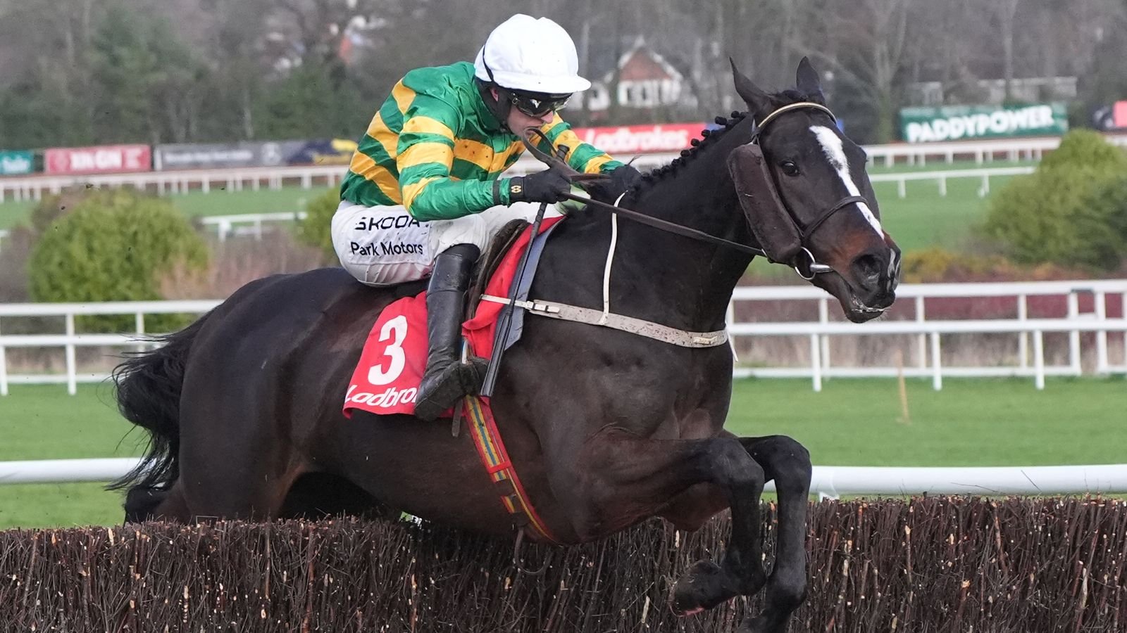 Leopardstown: Kaid d’Authie ने डब्लिन रेसिंग फेस्टिव्हलमध्ये धक्कादायक निकालाची अंतिम मागणी कमी केली | रेसिंग बातम्या