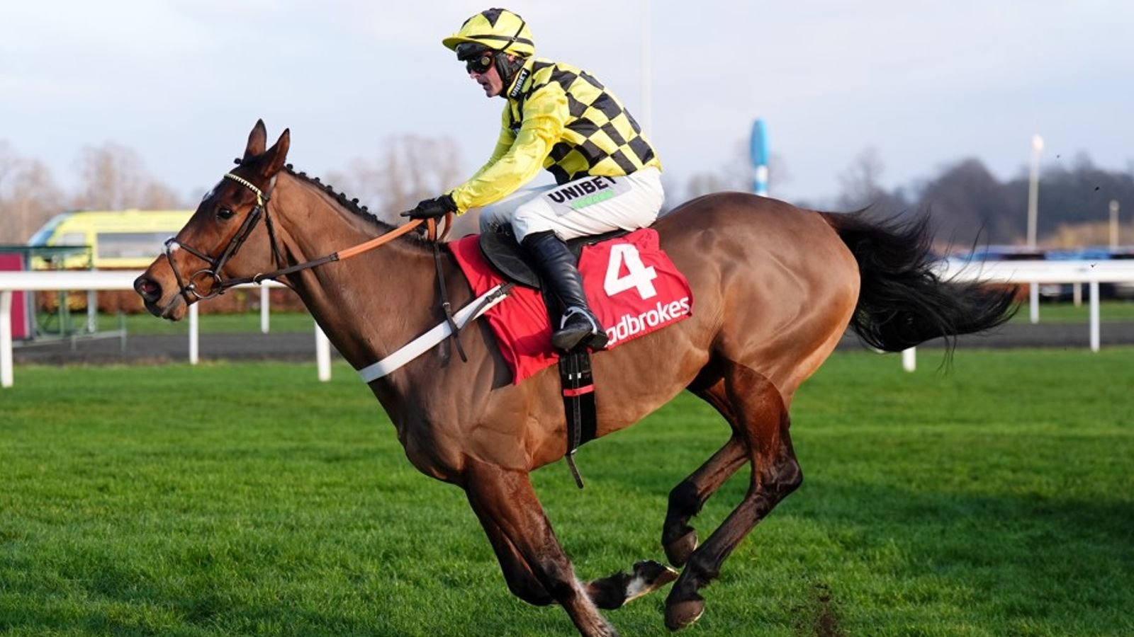 सर गिनो: निकी हेंडरसन निश्चित तारेसाठी फ्रॅक्चर झालेल्या श्रोणीची पुष्टी करते | रेसिंग बातम्या