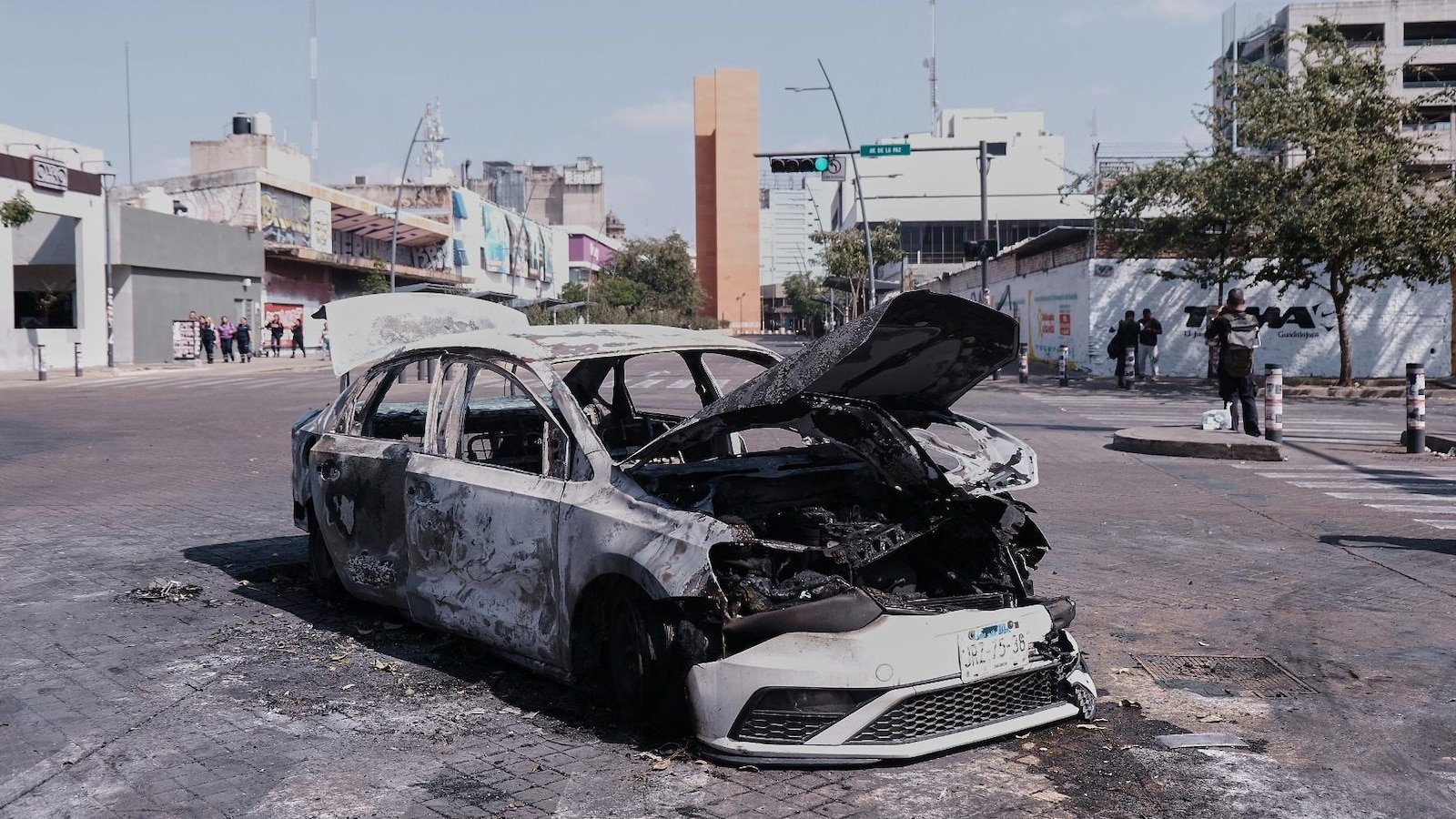 मेक्सिकन सैन्याने शक्तिशाली जलिस्को न्यू जनरेशन कार्टेलच्या नेत्याला ठार केले, अधिकारी म्हणतात