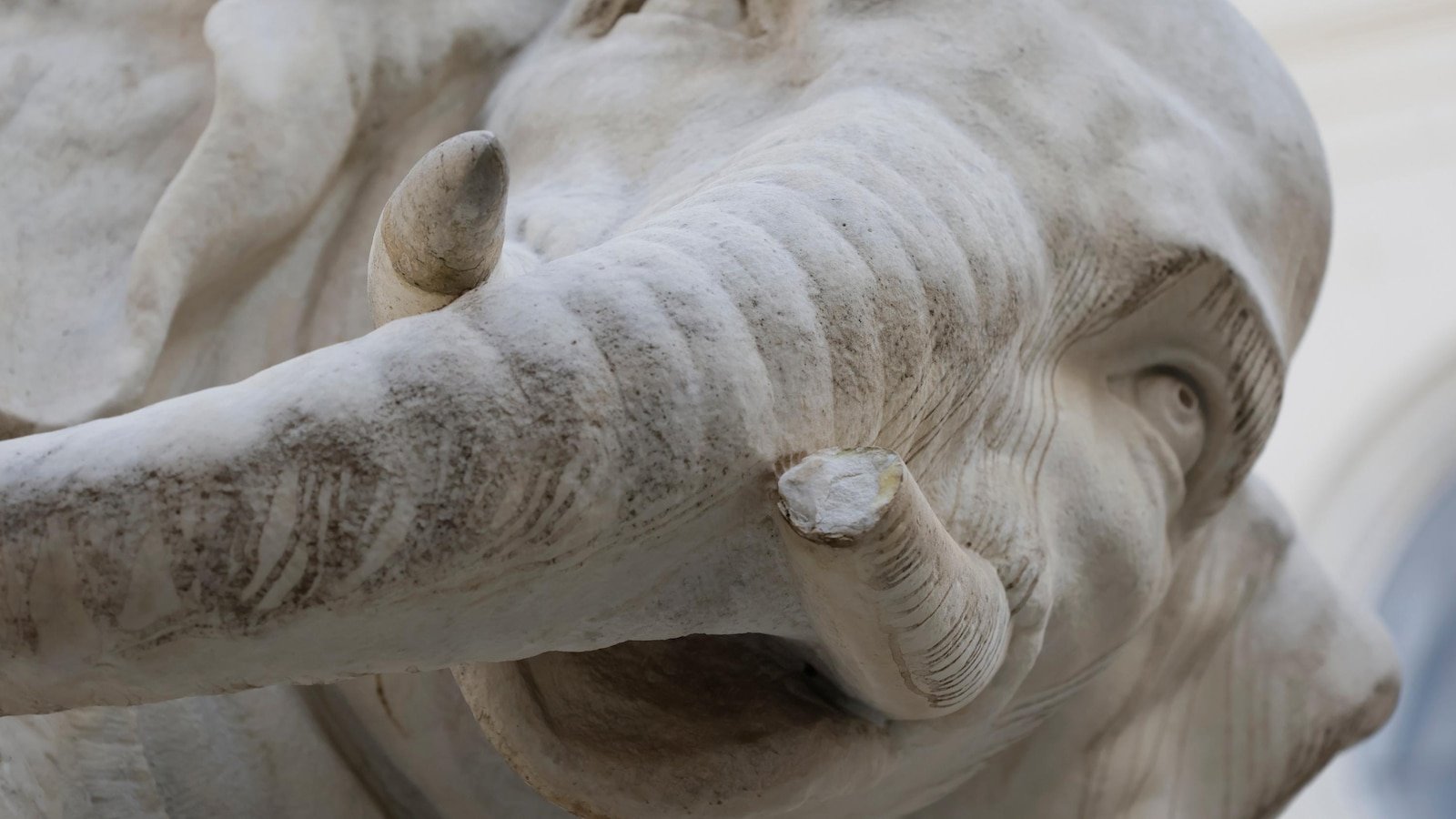 प्रकरणावरील पोलिस: रोमच्या लाडक्या बर्निनी हत्तीच्या शिल्पाचे दात कसे हरवले — पुन्हा