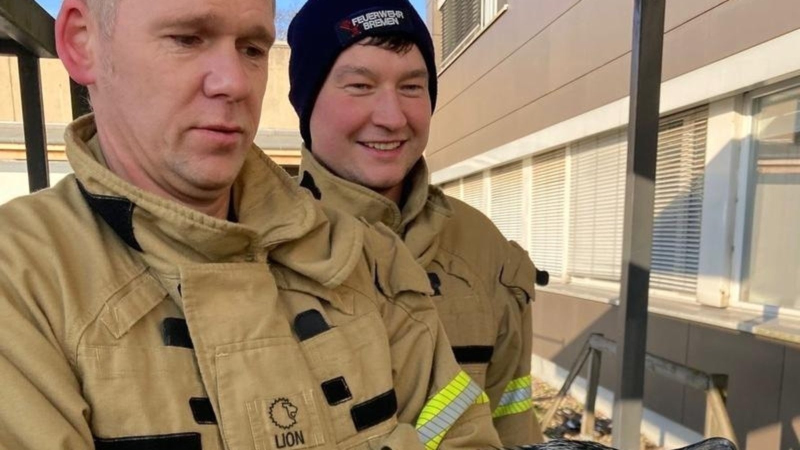 एक जखमी समुद्री पक्षी आपत्कालीन कक्षाच्या दारावर टकटक करतो आणि स्वतःच्या बचावासाठी विनंती करतो.